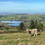 Moderne, 1-zimmer Mit Bergblick