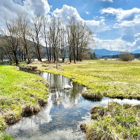 Moderne, 1-zimmer Mit Bergblick Apartman Oy-Mittelberg