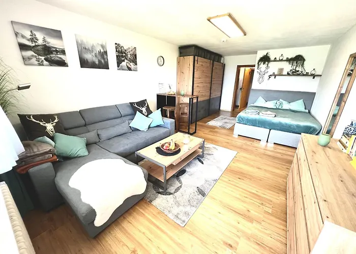 Lejlighed Moderne, 1-zimmer Mit Bergblick *