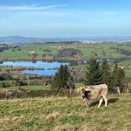 Moderne, 1-zimmer Mit Bergblick