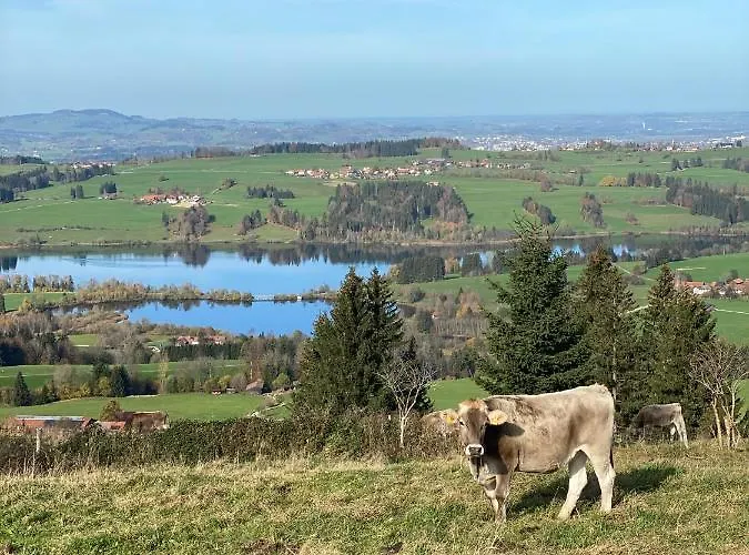 Moderne, 1-zimmer Mit Bergblick